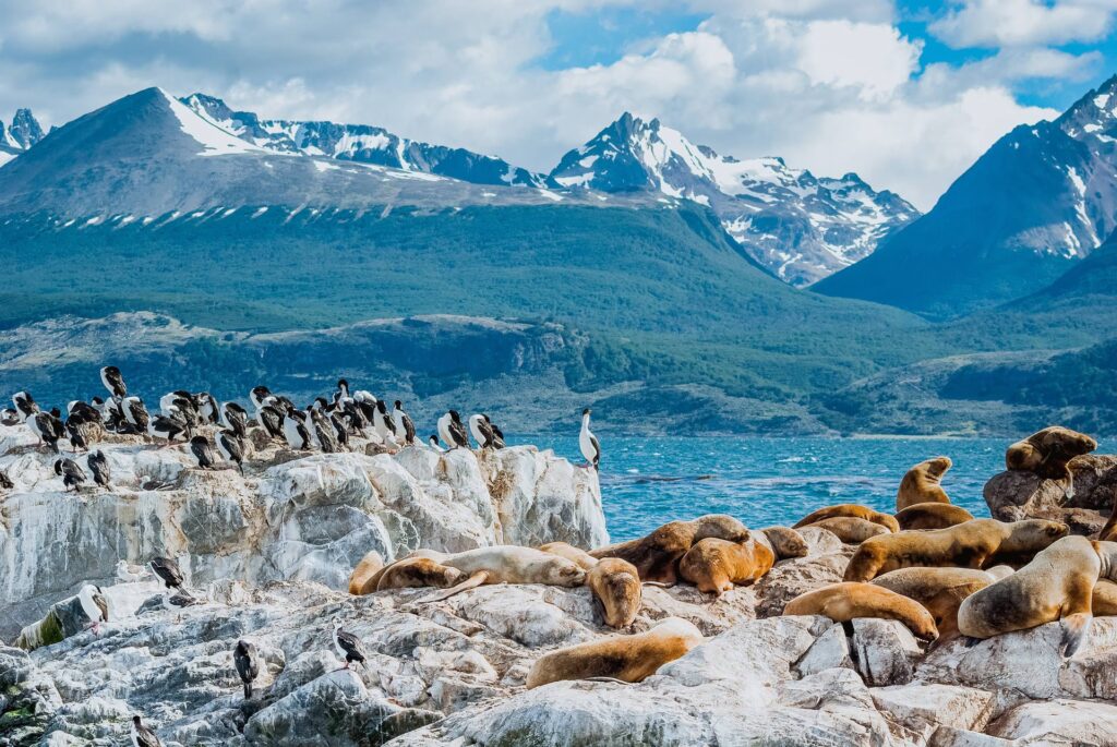 Ushuaia canal de Beag